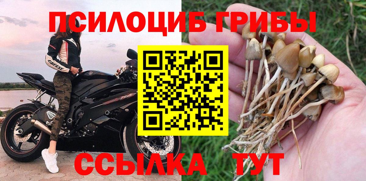 Скопин  Галлюциногенные грибы Psilocybine cubensis  Галлюциногенные грибы Cubensis  купить наркотик  Вход с VPN 